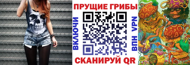 Галлюциногенные грибы Psilocybe купить сайты нарко площадка состав Цивильск